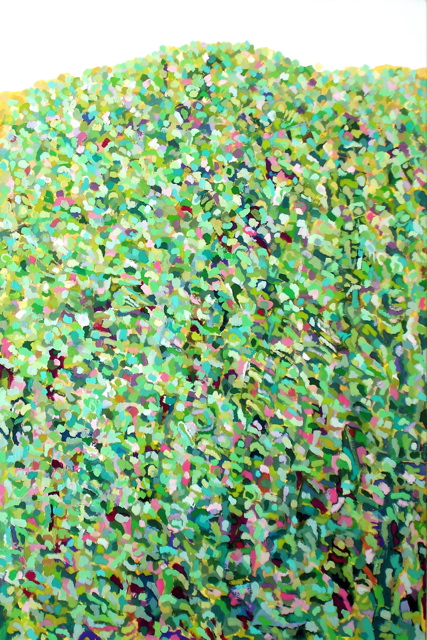 Meadow